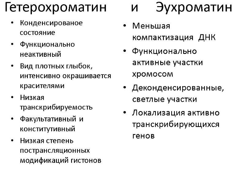 Гетерохроматин       и     Эухроматин 